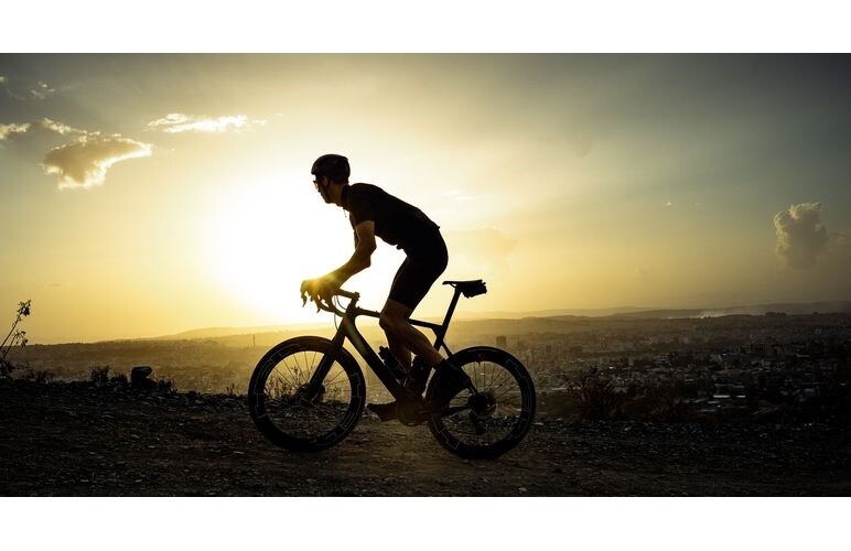 Job Offer By HED Cycling - Digital Marketing Coordinator