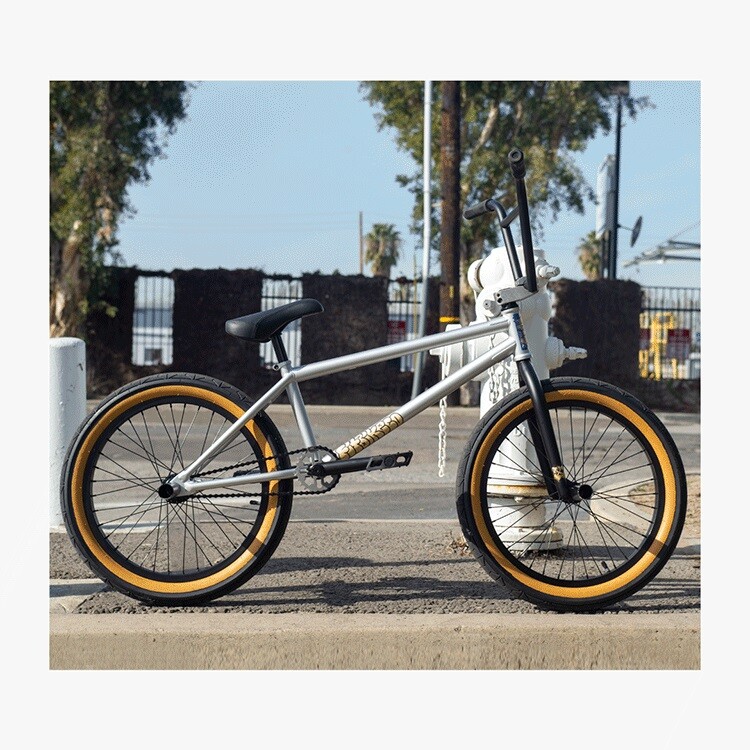 2023 STR Freecoaster (LG)