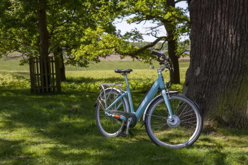 Electric Bikes - Unlocking Health Benefits